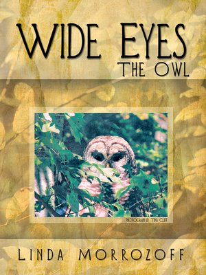cover image of Wide Eyes the Owl